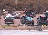 Some of the vehicle there that day...